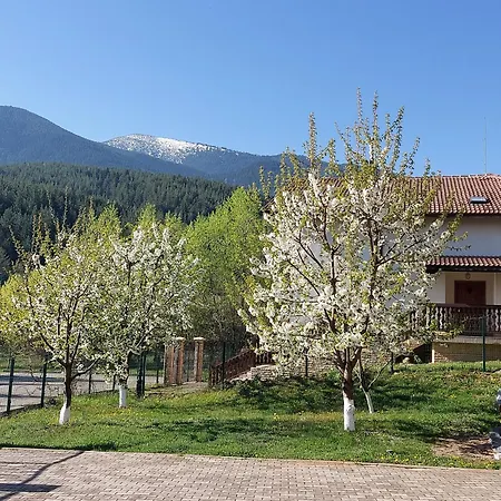 Holiday park 19 Rose