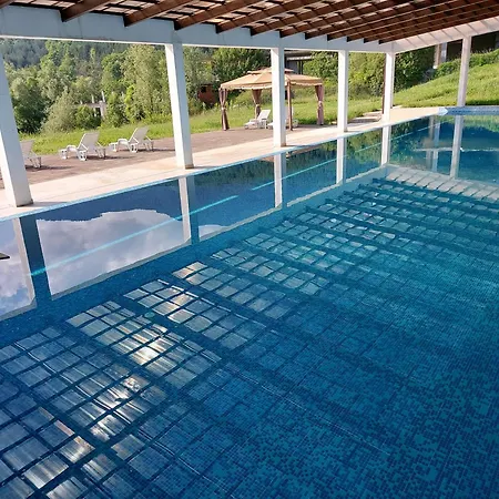 19 Rose بانسكو