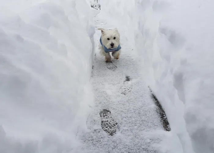 19 Rose Vakantiepark Bansko